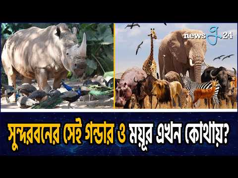 দেশ থেকে চিরতরে হারিয়ে গেল ৩১ প্রজাতির বন্যপ্রাণী! Thirty-One Species of Wildlife
