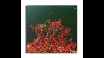 Lễ hội Thanh Minh xã Phúc Sen, huyện Quảng Hòa, Cao Bằng #caobangmenyeu