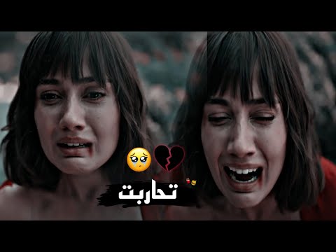 تحاربت نوال الزغبي ايزو وهارون    مسلسل الكنه
