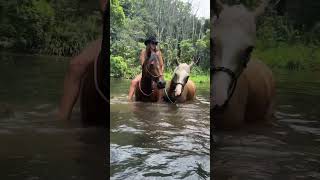 The best way to cool down with horses 🙌 Details