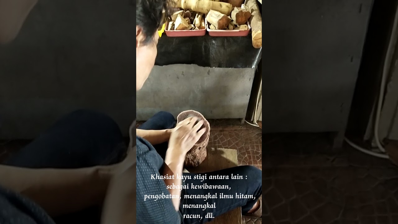 Kasiat kayu setigi _