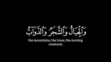 ألم تر أن الله يسجد له | ياسر الدوسري | سورة الحج