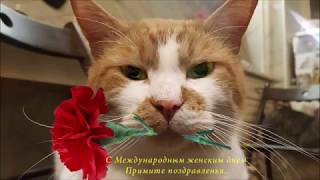 С 8 Марта!!! С 8 Марта!!!