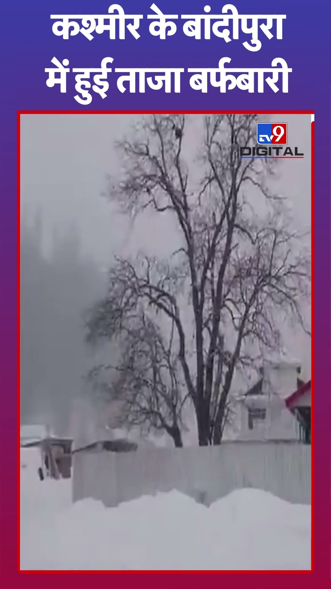 Snowfall: Jammu \u0026 Kashmir के Bandipora में हुई ताजा बर्फबारी  | #tv9shorts | #ytshorts
