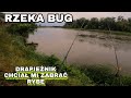 Rzeka Bug! Drapieżnik chcial mi zabrać PŁOĆ W TRAKCIE HOLU!?