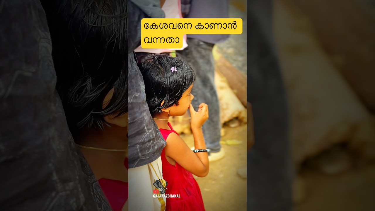 കേശവനും കുഞ്ഞും 💕 #song #composer #aanayoott #elephant #aanakotta #travel #mambi #music #aana