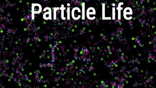 Particle Life:  Large scale simulation