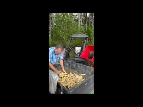 My Secret to Using Corn Cobs in the Garden hqdefault