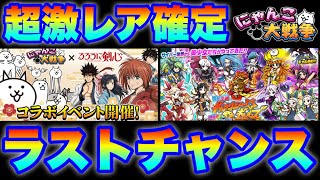 にゃんこ様 mqdefault.jpg