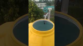 #water #level #automatic #liquid level #dry run #sensors installation in Tamil screenshot 1