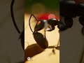🔬Watch This Engineer Use a Lever to Save a Clumsy Ladybug! 🐜💡 #TinyEngineers #Leverage