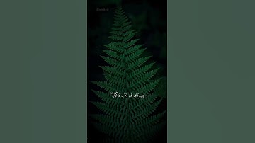 قــــرآن" أرح سمعك وقلبك🤍بكـــلام ربك.. آية وعبرة #اكسبلور #quran #تلاوة_خاشعة #ارح_قلبك #راحة_نفسية