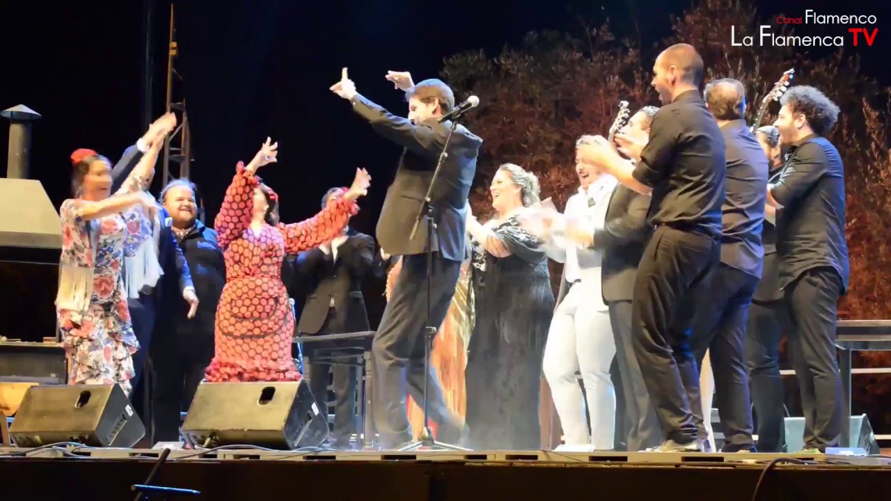 50º aniversario de La Fiesta de La Buleria de Jerez 2017 YouTube