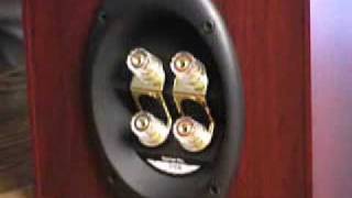 7.9″ Wire Leads Black 3 x 1.5V C Battery Batteries Holder Case How to Bi-wire or Bi-amplify Your Speakers