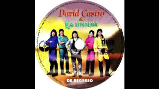 DAVID CASTRO  Y LA UNION el amor es fiel (disco)