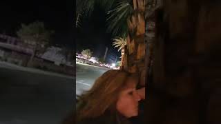 Las Vegas Shooting - Las Vegas Blvd. (Behind a Palm Tree) @LasVegasShootingArchive