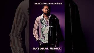 Late Night Kranium  A Wota  Nkz Remix 2025wav 