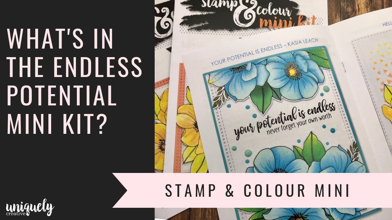 Mini Kits Are Here ..... See whats in the kit