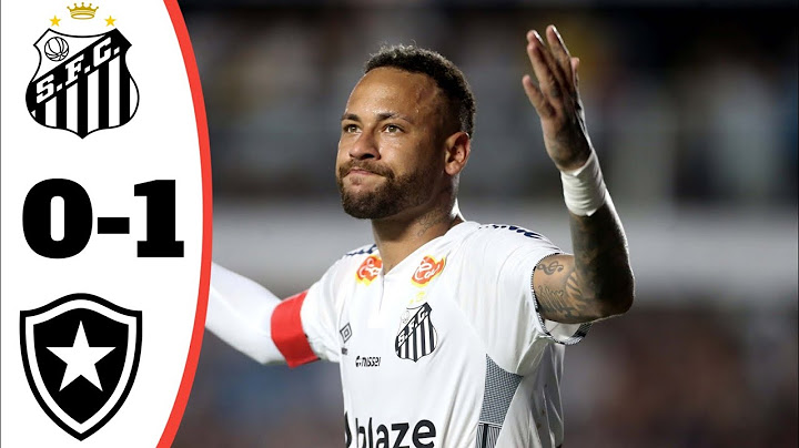 Santos vs Botafogo 0-1 Highlights - All Goals 2025 HD