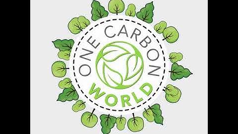 One Carbon World Introduction Video