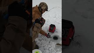 Cracking Bluegill on Ice – Wilderness Wize Winter Catch!