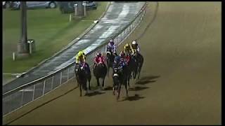 20181207 Greyville  Express  Clip  -  Race 8 won by ZARNITSA