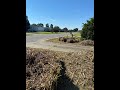 The Pampas Grass keeps growing