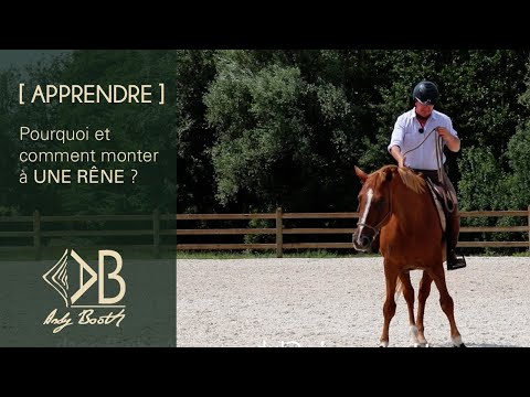 [APPRENDRE] Pourquoi et comment monter à une rêne ?