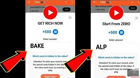 GET RICH NOW Cats Video Code | Start From ZERO cats code today | 7-8 October Cats All Codes