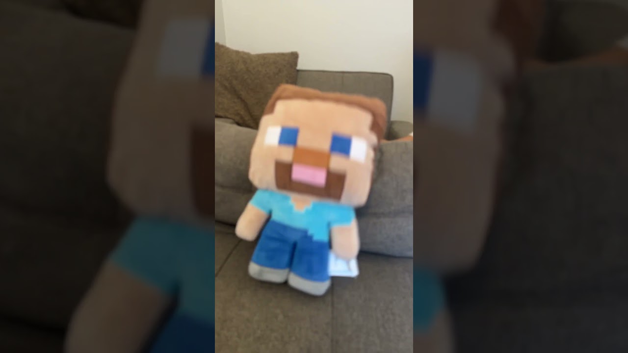 I am Steve  short#  ￼