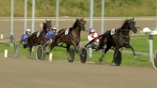 Vidéo de la course PMU PRIX DE GELSENKIRCHEN (PAYDAY WINNER CHALLENGE)