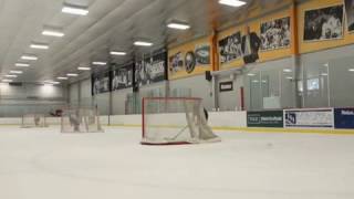 3D.Hockey Ultimate Performance screenshot 5