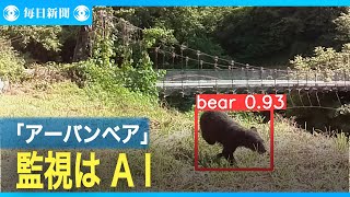 人とクマは共生できるか　「アーバンベア」監視するのはAI