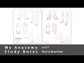 My Anatomy Study Notes Lv.2-7 | Drawing the Human Foot Step by Step