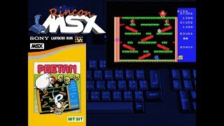 Peetan (MSX) Short Gameplay