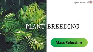 Mass Selection | Plant breeding techniques |