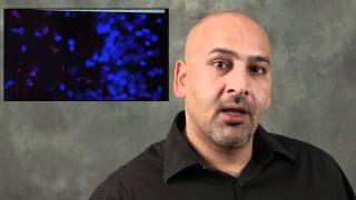 Jaideep Bains, PhD - Sixty Second Science
