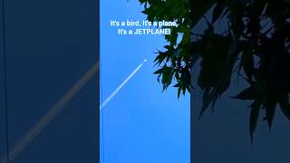 IT'S A JET PLANE! ✈️ #shorts #jetplane