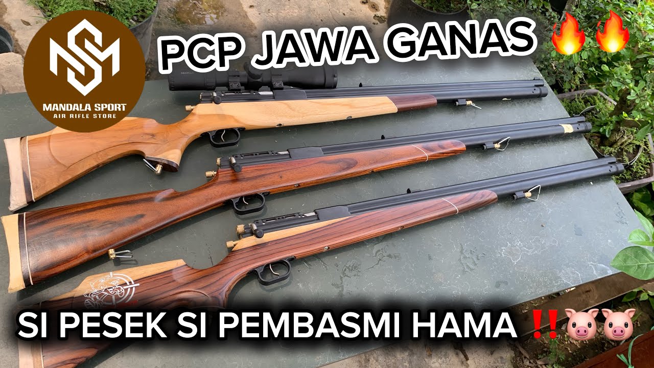 PCP JAWA SI PESEK 6900 psi 🐷🐷🌪️🌪️