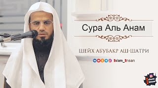 Абу Бакр Аш Шатри Сура Аль Анам # 6 ❘ Abu Baker Al-Shatiri - Al-An'am