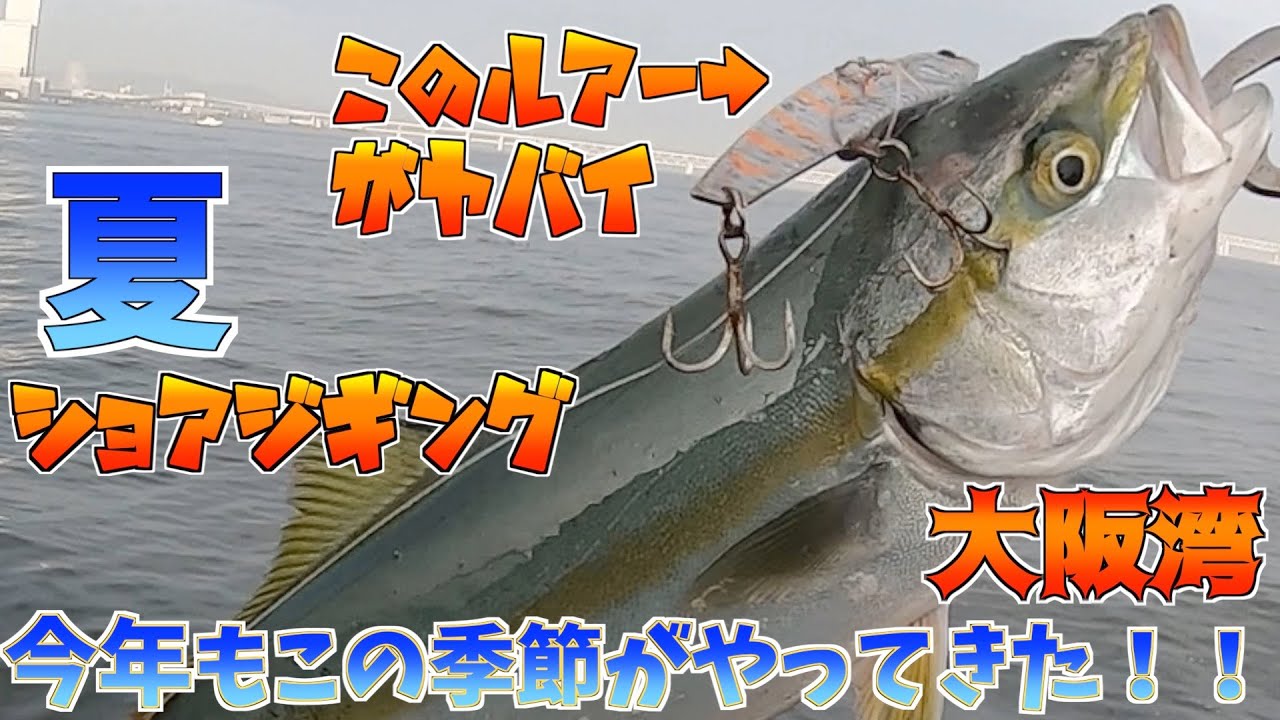 ダイソーマイクロジグは釣れるのか Youtube