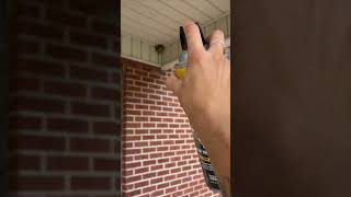 Person Sprayed a Yellowjacket Nest and Triggered a Swarm