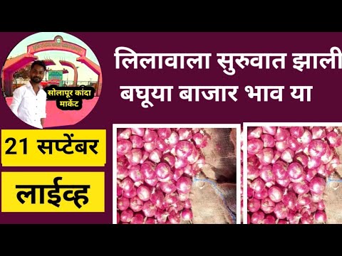 kanda Market bhav / solapur kanda market live today 21 सप्टेंबर आजचे लाईव्ह