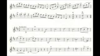 Video thumbnail of "Rieding, Oskar Concertino op. 36 for violin + piano"