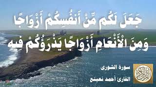 042 أحمد نعينع - سورة الشورى