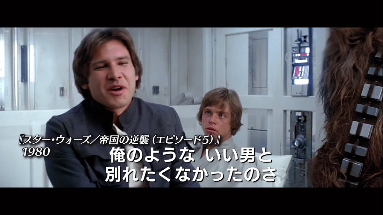 未使用☆激レア☆スティーブ・ハリソン Steve Harrisonティーキャディ