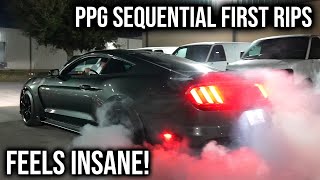Sequential Transmission Barra GT350 - First Drive! Wealth