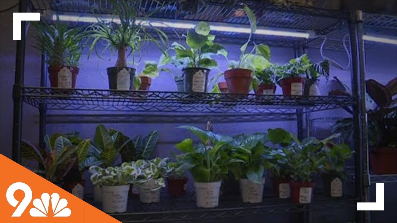 Celebrating National Small Business Week in Colorado - 9NEWS