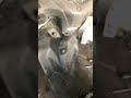 Acitva repair #viral #smallyoutuber #youtubecreator #youtubesubscribers #instagood #explore #love