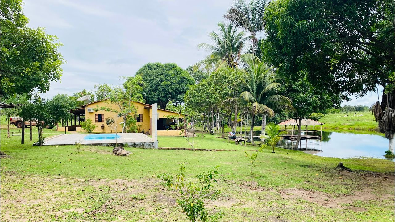 FAZENDA COM PREÇO DE GALINHA MORTA 111 HÁ ARAGUAÍNA,TO 